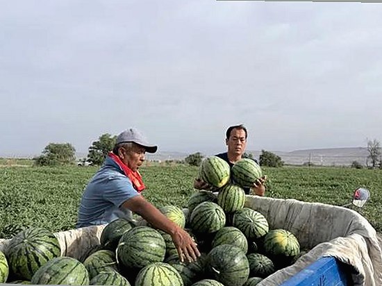 海角大神的暧昧纠葛与礼物背后的隐秘故事：直男视角下的复杂情感反差