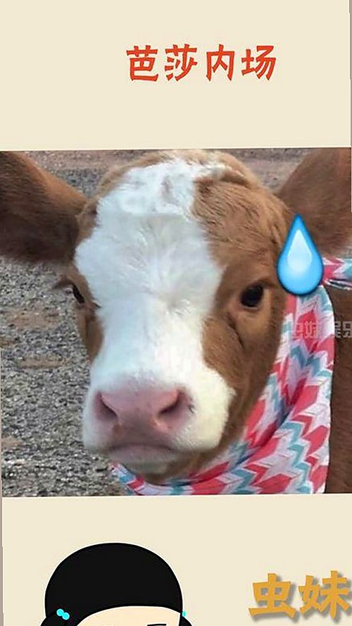 娱乐圈神秘焦点人物引爆吃瓜热潮，网友热议不断🔥